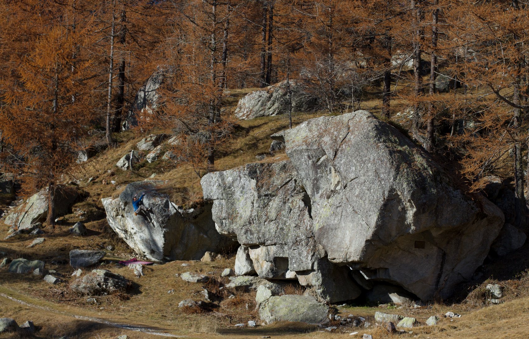 Math Sémiond   Levi   Sir Wilkinson 6c (3)